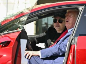 Donald Trump says Elon Musk ‘has lost his mind’