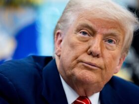 Donald Trump's Controversial Pardons Make Some Republicans Squirm