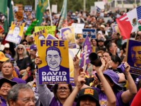 Don’t Overlook the Union Factor in California’s Chaos