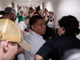 Elite-Backed Street Activists Harass ICE in New York Court Buildings