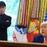 Elon Musk Says Donald Trump Is In The Jeffrey Epstein Files