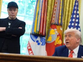 Elon Musk Says Donald Trump Is In The Jeffrey Epstein Files