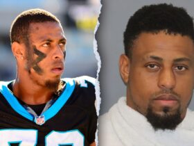 Ex-NFL star Greg Hardy arrested for assault after cheating accusation dispute