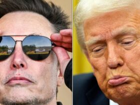 Ex-Trump Aide Spells Out How Elon Musk Could Gain Ultimate Revenge On The President