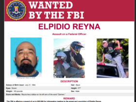 Feds offer $50,000 reward for suspect in LA protest attack on Border Patrol