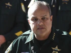 Florida sheriff arrested as part of massive illegal gambling operation