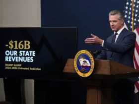 Gavin Newsom's blame game will come back to bite him in 2028