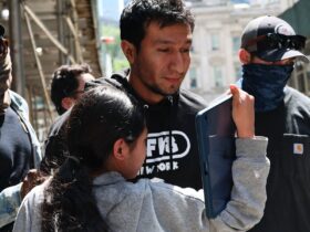 'Have mercy': Families plead as migrants arrested at routine DHS check-ins