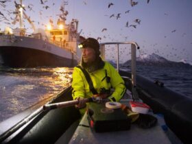 In photographs, scientists revel in the world they seek to discover : NPR