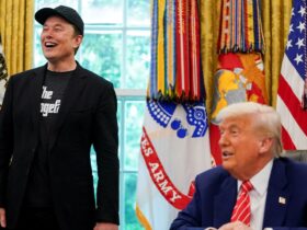 Inside the Musk-Trump fallout: From DOGE partnership to public feud