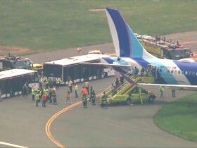 JetBlue flight rolls into grass after landing at Boston's Logan airport: Officials