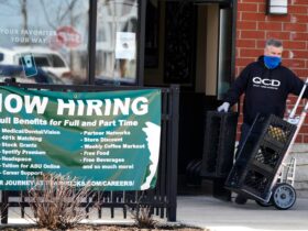Job report: Hiring slows across US amid uncertainty over Trump’s tariffs