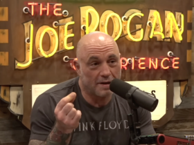 Joe Rogan says Elon Musk needs a break from social media amid Trump feud