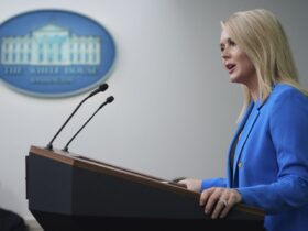 Karoline Leavitt slams reporter's 'stupid' question about Trump supporting peaceful protests