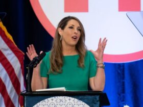 McDaniel: Trump, Musk feud like Ross and Rachel on 'Friends'