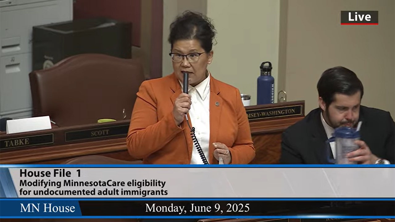 Minnesota lawmaker reveals she is undocumented during immigration debate