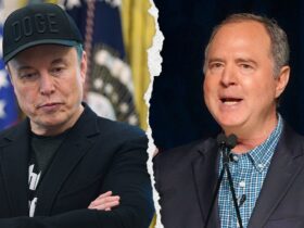Musk sarcastically responds to Schiff's praise of his stance on Big Beautiful Bill