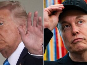 Political Historian Weighs In On Trump And Musk's Public Feud