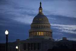 Poll Conundrum: Activist Government, Yes; Dems, No