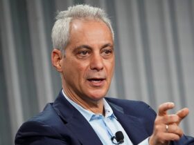 Rahm Emanuel slams Dems as 'punks' who should 'shut up' to win elections again