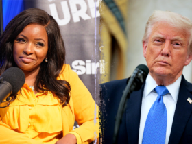 Rep. Crockett claims Trump insults her because her 'message is effective'