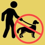 Republicans Want to Ban Pets From Domestic Violence Shelters – Mother Jones