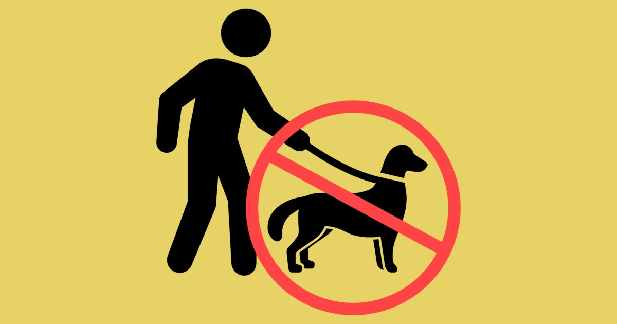 Republicans Want to Ban Pets From Domestic Violence Shelters – Mother Jones