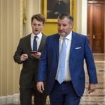 Senators battle it out over Trump, rule of law during first appeals court nominee's hearing