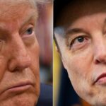 Seth Meyers Weighs In On Elon Musk And Trump Feud