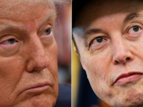 Seth Meyers Weighs In On Elon Musk And Trump Feud