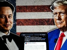 Social media users react to Musk-Trump feud