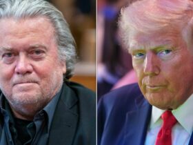 Steve Bannon Admits He'd Hate If Democrats Did 1 Thing Trump Is Doing