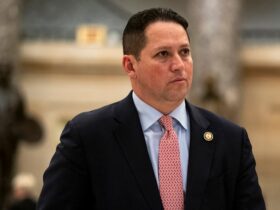 Texas Republican says LA is 'tip of the iceberg' as deportations nationwide 'about to go way up'