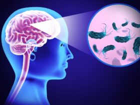 Texas woman dies from brain-eating amoeba after using nasal irrigation device