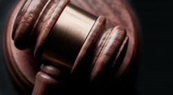 The Rule of Law: A Visit to Immigration Court