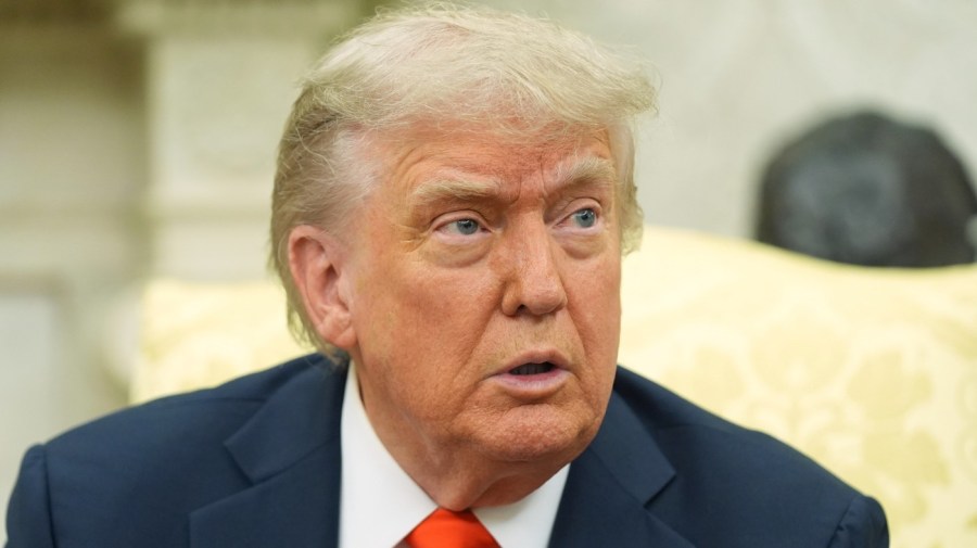 Trump 'disappointed' by Musk criticism of 'big, beautiful bill'