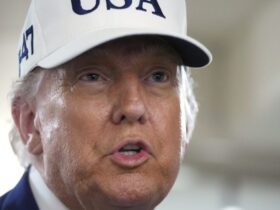 Trump hails court ruling allowing White House to restrict AP access
