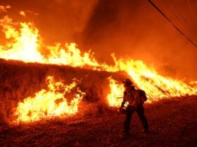 Trump moves to merge wildland firefighting into single force, despite ex-officials warning of chaos