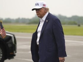Trump signals he’s done with Musk