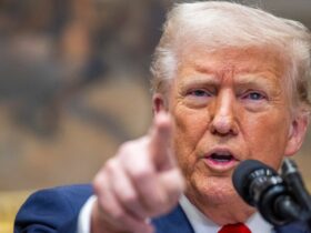 Trump signs proclamation banning travel from 12 countries