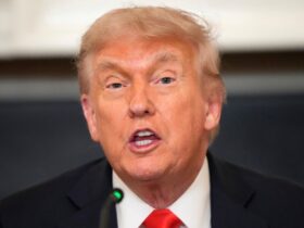 Trump tells ABC Musk 'lost his mind'; 'not particularly' interested in talking to him