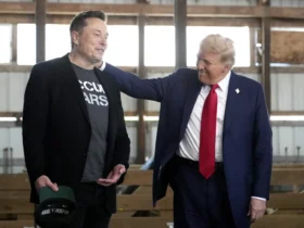 Trump too 'busy' with foreign affairs to think about Elon Musk