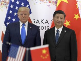 Trump works to turn page amid Musk fallout
