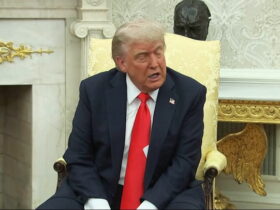 Trump suggests it might be better to let Ukraine and Russia