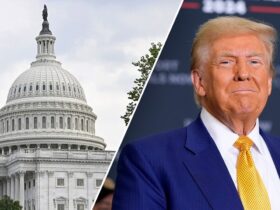Trump's $9.4 billion spending cuts package seen as 'test' for Congress