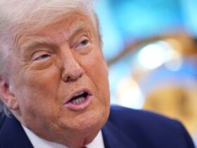 Trump's pardons have shortchanged fraud victims of millions of dollars in restitution, lawyers say