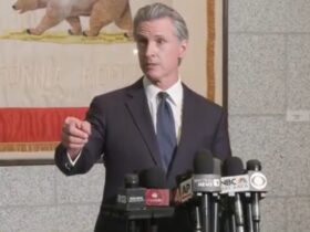 Unhinged Newsom Says if He Told the Public About His Call with President Trump, "It Would Send Shivers Up Your Spine" (VIDEO) | The Gateway Pundit