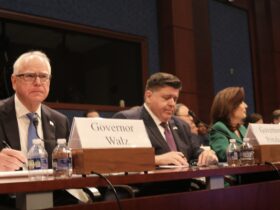 WATCH: NY Gov. Kathy Hochul and IL Gov. JB Pritzker Dare Trump to Arrest Them, MN Gov. Tampon Tim Walz Chickens Out During Congressional Hearing | The Gateway Pundit