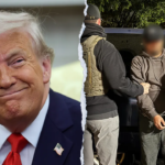 White House celebrating massive immigration wins: 'Great day to be an American'
