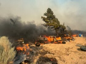 Wildfire Near San Bernardino Mountains Prompts Evacuation Orders